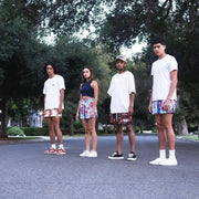 Oil Painting Style Mesh Shorts – Unisex Summer Sports & Training Wear