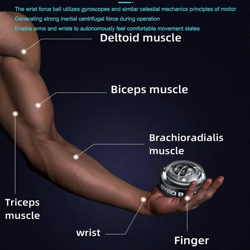 Gyroball Wrist Trainer – Powerball Forearm & Hand Exerciser