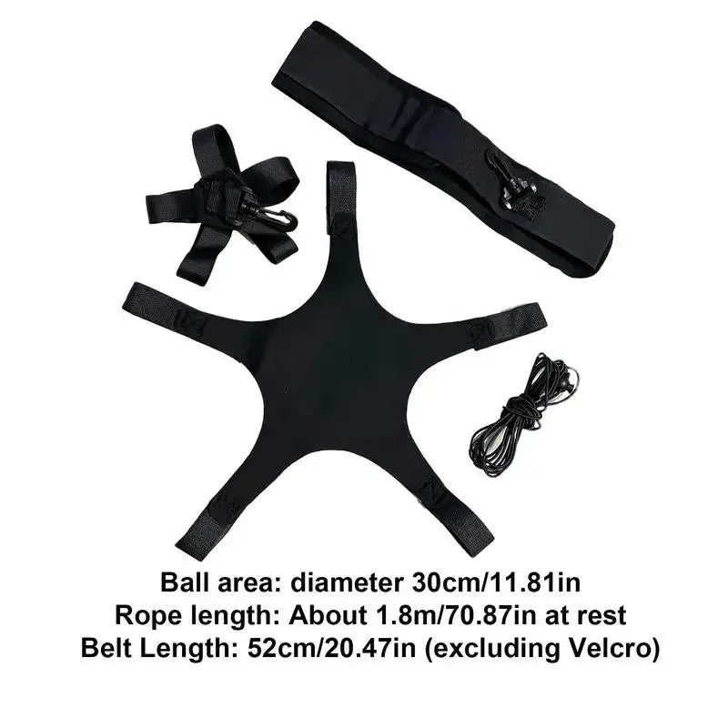 Volleyball Spiking Rebounder Training System