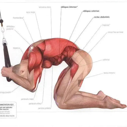 Tricep Rope Cable Attachment – Face Pull & Push Down Gym Accessory